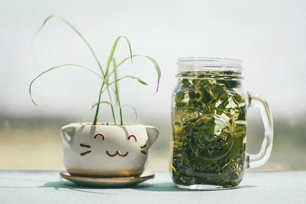Използване на силата на билковите чайове за топене на мазнини и детоксикация - зелен